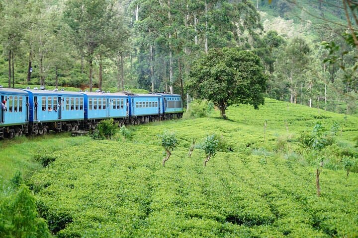 Everything in Kandy: Flexible Cultural & Nature Tours Around Kandy, Sri Lanka photo 6