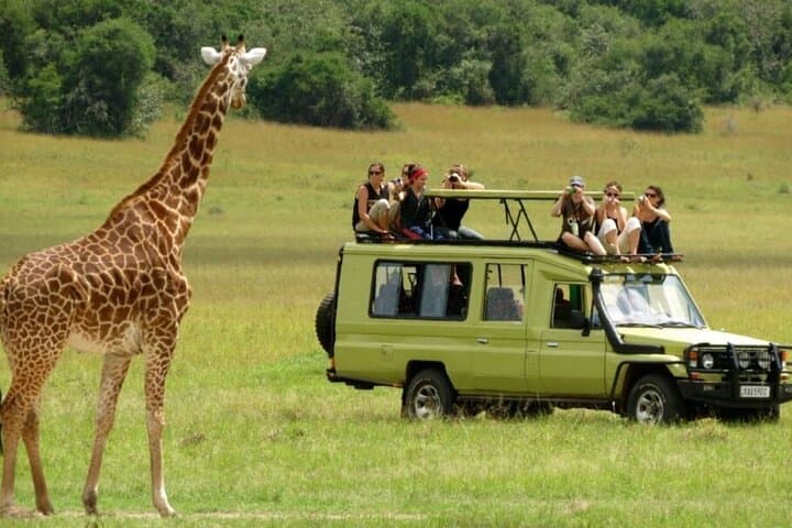 3-Day Drakensberg & Tala Game Reserve Safari from Durban: Giants, Game Drives & Mandela Site