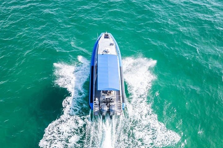Lake Macquarie Whale Watching: Humpback Discovery Tour from Swansea photo 2