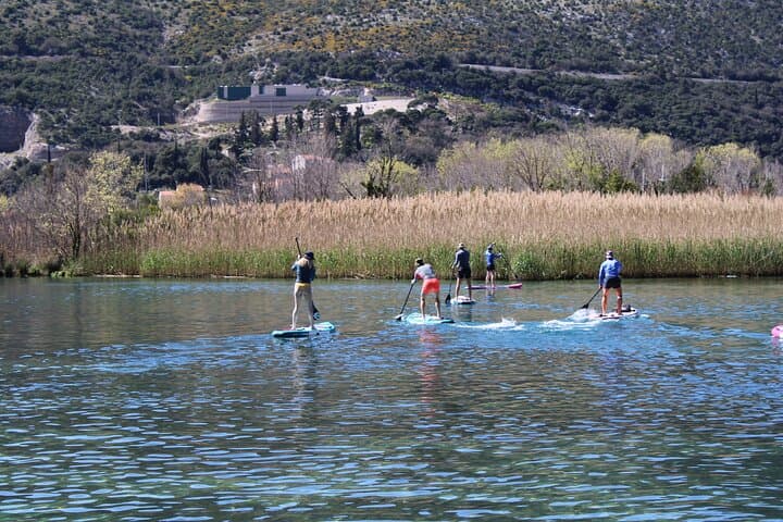 Paddleboarding the Ombla River: Dubrovnik Spring-to-Table SUP Tour photo 3