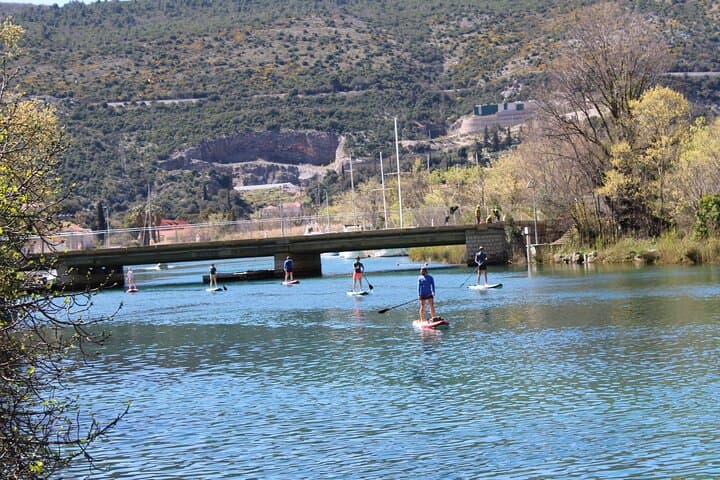 Paddleboarding the Ombla River: Dubrovnik Spring-to-Table SUP Tour photo 5