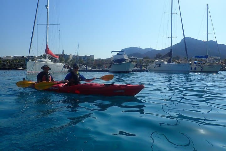 Sunset Dolphin Kayak Tour in Golfo Aranci — Paddle with Dolphins at Isola di Figarolo photo 4