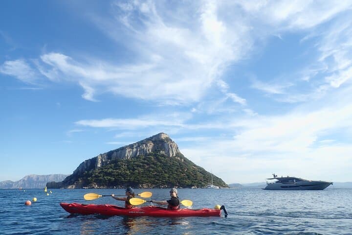 Sea Kayak Capo Figari: 3-Hour Beginner Tour from Golfo Aranci photo 3