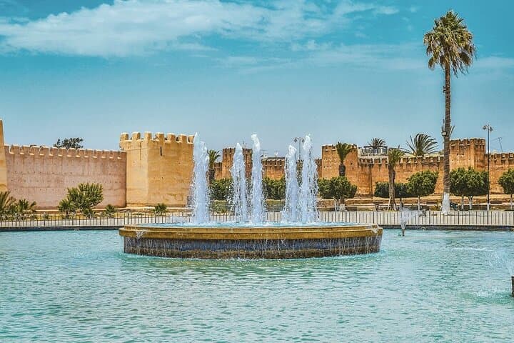 Taroudant & Tiout Day Trip from Agadir: Argan Goats, Kasbahs & Oasis photo 5