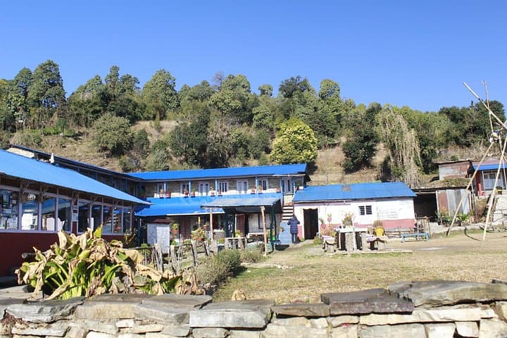 Day Hike to Australian Camp from Pokhara — Annapurna Views & Gurung Village Trails photo 4