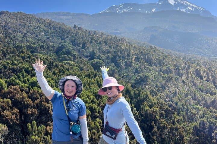 7-Day Lemosho Route Kilimanjaro: Private Guided Trek to Uhuru Peak