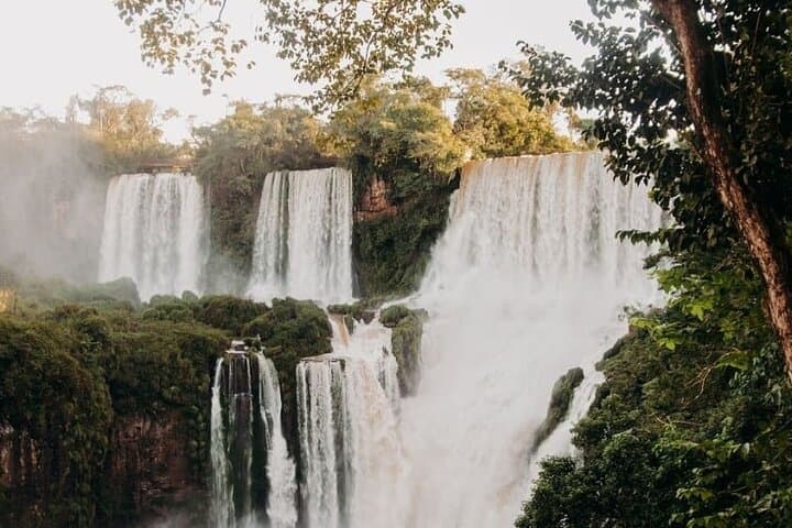 Iguazú Falls in One Day: Guided Walk, Train & Optional Boat Adventure photo 4