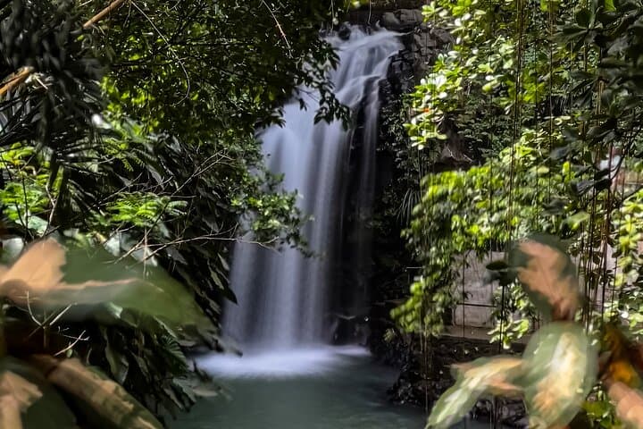 Chasing Waterfalls in Grenada: Guided Hike to Annandale, Seven Sisters & Mount Carmel photo 2