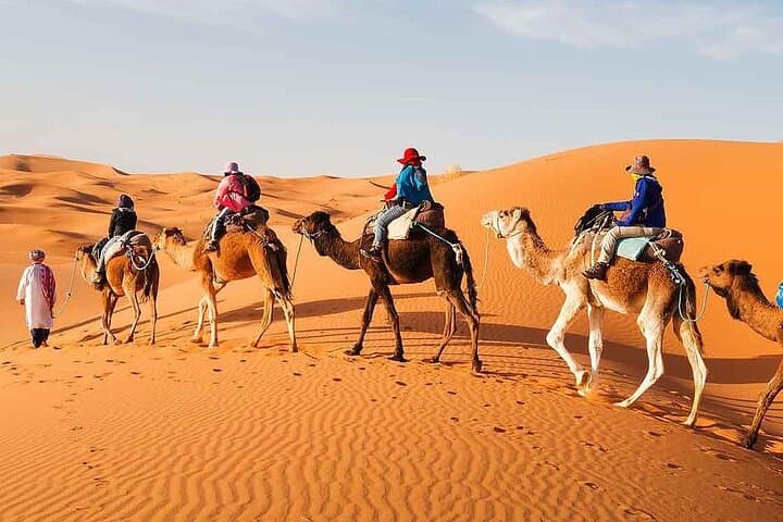 Merzouga Desert Overnight: Camel Trekking, Sandboarding & Authentic Berber Camp photo 5