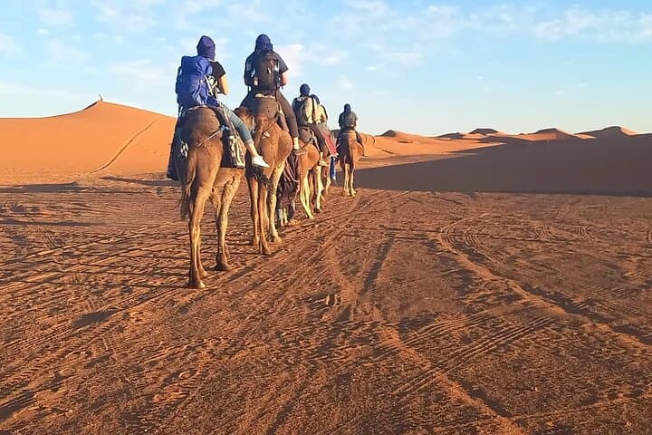 Sunset Camel Ride in Merzouga: Erg Chebbi Dunes from Errachidia photo 4