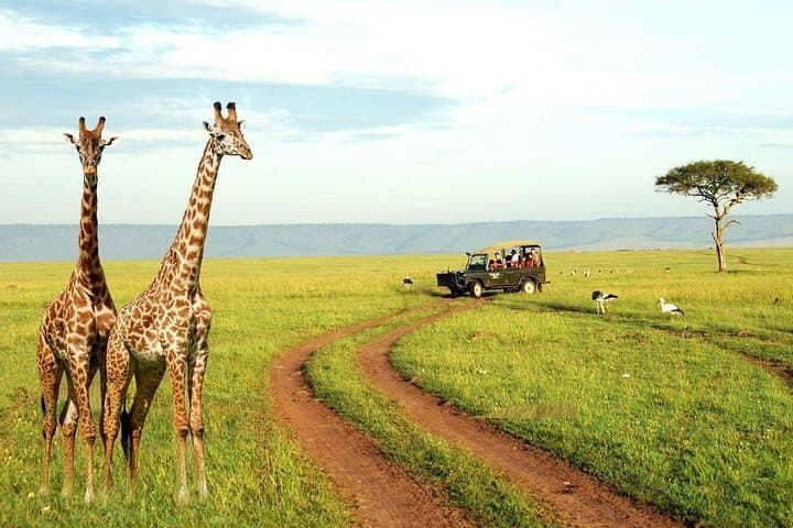 2-Day Sani Pass, Tala Game Reserve & Nelson Mandela Capture Site Tour from Durban photo 1