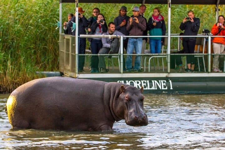 7-Day iSimangaliso, Hluhluwe & Drakensberg Safari from Durban photo 2