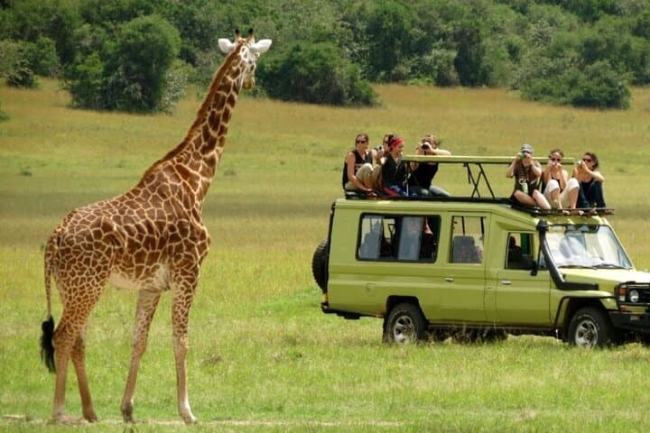 5-Day Hluhluwe, iSimangaliso & Drakensberg Private Safari from Durban photo 4
