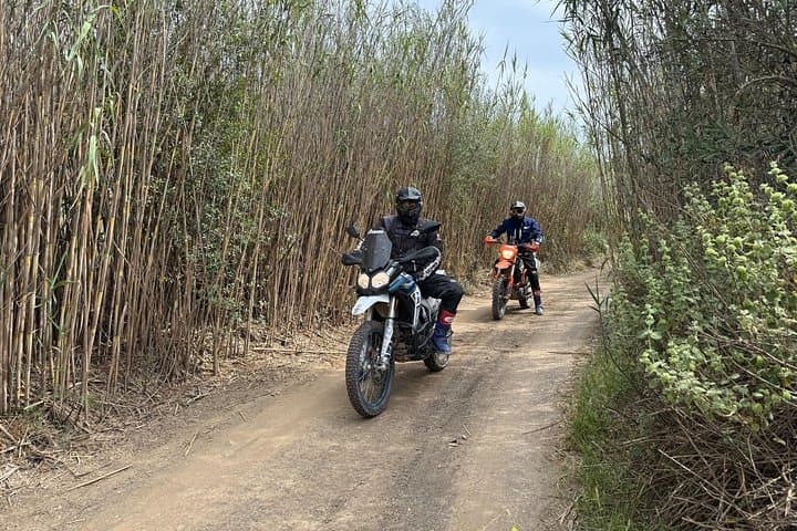 Full-Day Off-Road Motorbike Tour Around Málaga: Montes de Málaga Trails & Village Lunch photo 3