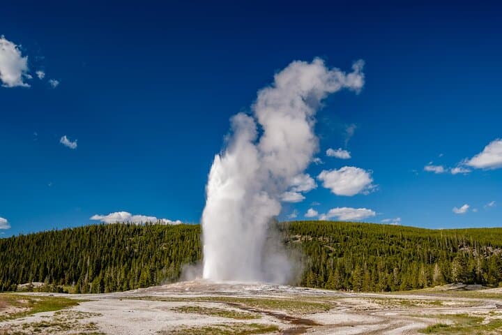 Exploring Yellowstone in a Day: The Ultimate Grand Loop Tour Experience photo 3