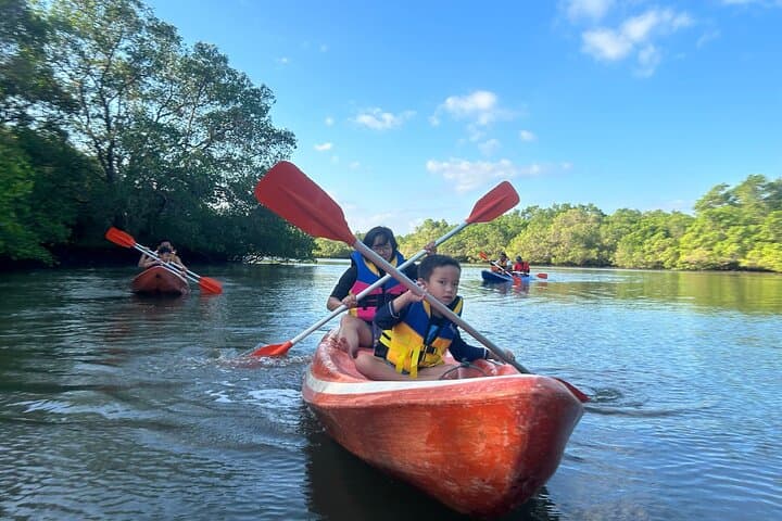 Bali Mangrove Canoeing Tour — Paddle Benoa’s Coastal Forest & Support Conservation photo 6