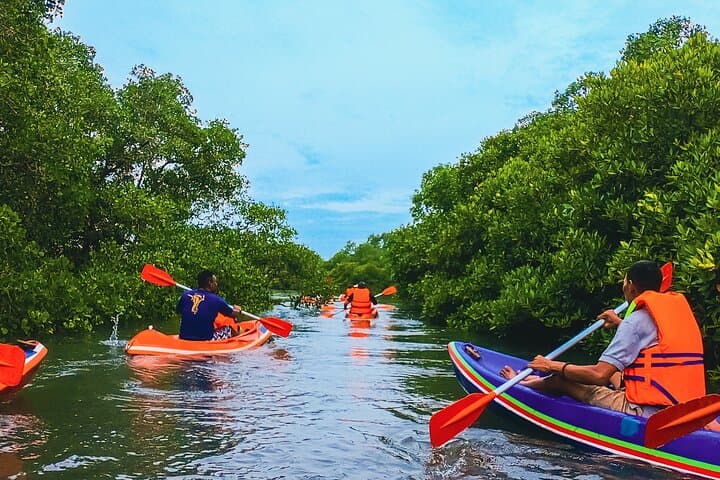 Bali Mangrove Canoeing Tour — Paddle Benoa’s Coastal Forest & Support Conservation photo 2