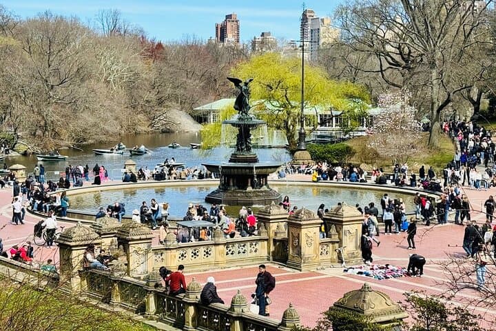 2-Hour Central Park Private Pedicab Tour — Top Sights, Tips & What to Expect photo 4
