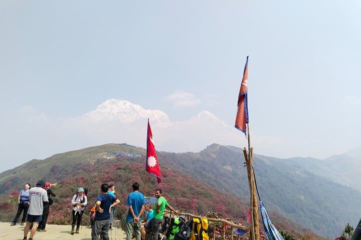 5-Day Mardi Himal Trek: Pokhara to High Camp and Sunrise Viewpoint photo 6