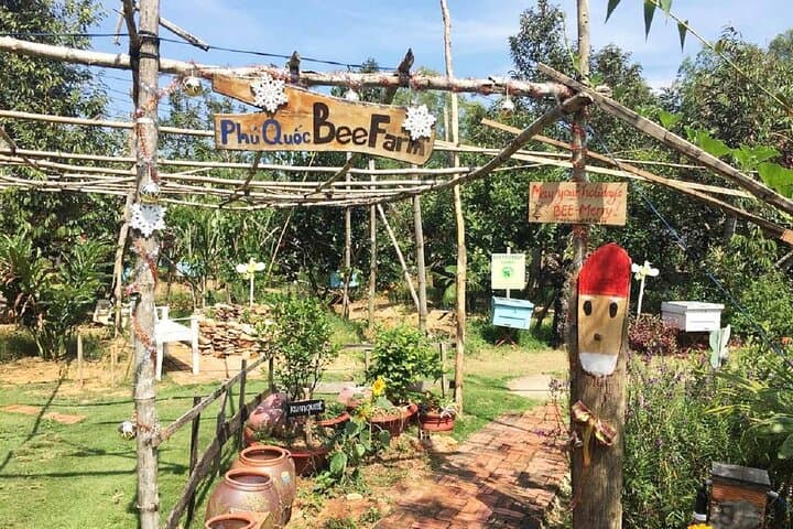 Northern Phu Quoc Kayak Adventure: Cua Can River, Rach Vem & Ganh Dau photo 4