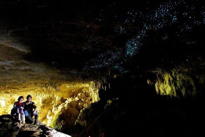 Waitomo Glowworm Caves Small-Group Tour from Auckland — Boat Ride, Maori Stories & Glow Grotto