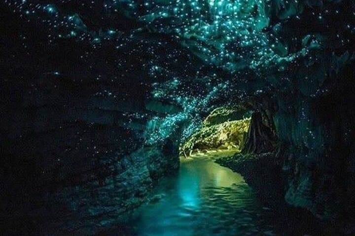 Waitomo Glowworm Caves Small-Group Tour from Auckland — Boat Ride, Maori Stories & Glow Grotto photo 2
