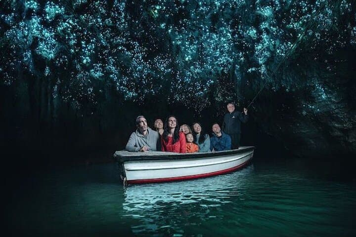 Waitomo Glowworm Caves Small-Group Tour from Auckland — Boat Ride, Maori Stories & Glow Grotto photo 3