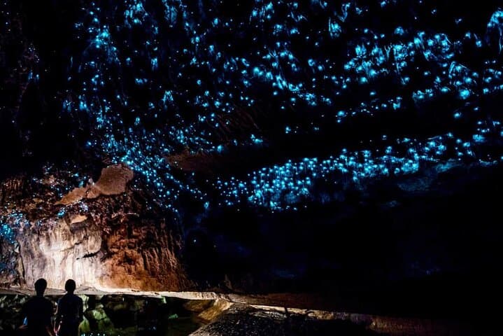 Waitomo Glowworm Caves Small-Group Tour from Auckland — Boat Ride, Maori Stories & Glow Grotto photo 4
