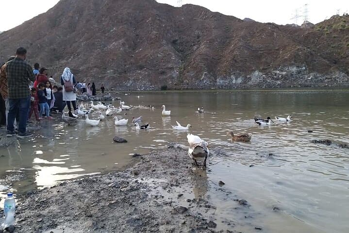 Day Trip to Al Rafisah Dam: Kayaking, Hiking & Wildlife Near Khorfakkan photo 3