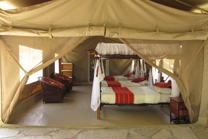 3-Day Masai Mara Big Five Safari: Game Drives, Migration & Practical Tips photo 3