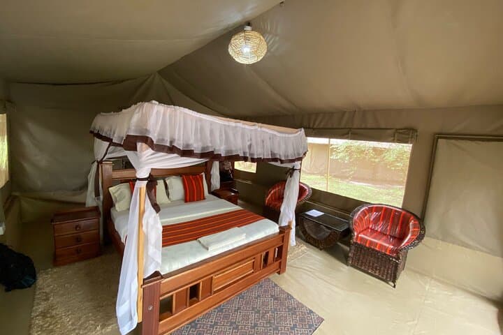 3-Day Masai Mara Big Five Safari: Game Drives, Migration & Practical Tips photo 5
