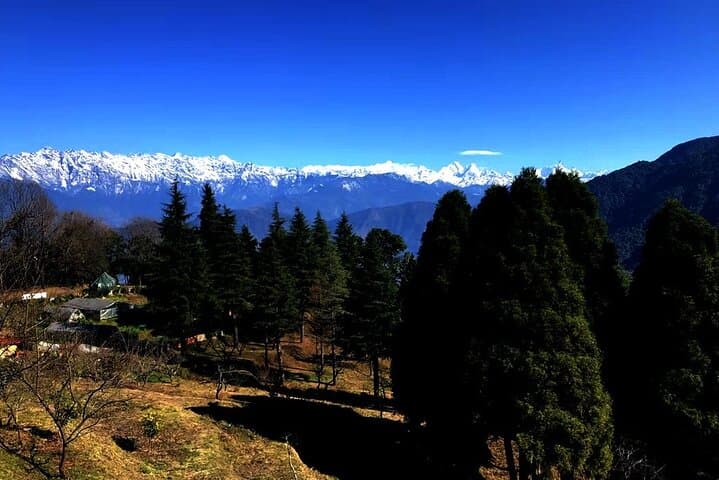 Shivapuri Day Hike from Kathmandu — Forest Trails & Himalayan Views photo 5