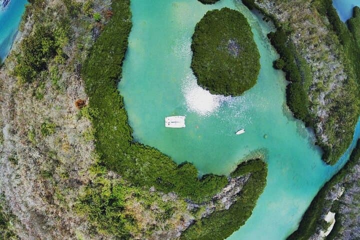 Northeast Mangrove Catamaran Cruise: Snorkel & Ilot Bernache Day Trip