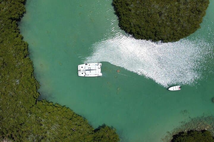 Northeast Mangrove Catamaran Cruise: Snorkel & Ilot Bernache Day Trip photo 5