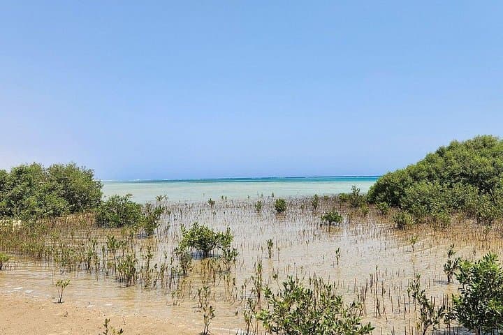 Marsa Alam Moto-Marine Safari: Quad Biking and Red Sea Snorkel photo 4