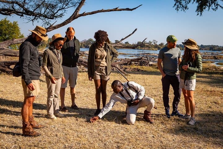 Walking Safari in Zambezi National Park: Victoria Falls Game Walk photo 2