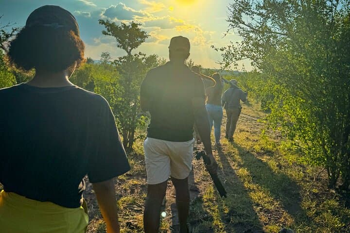 Walking Safari in Zambezi National Park: Victoria Falls Game Walk photo 3