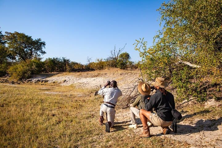 Walking Safari in Zambezi National Park: Victoria Falls Game Walk photo 6