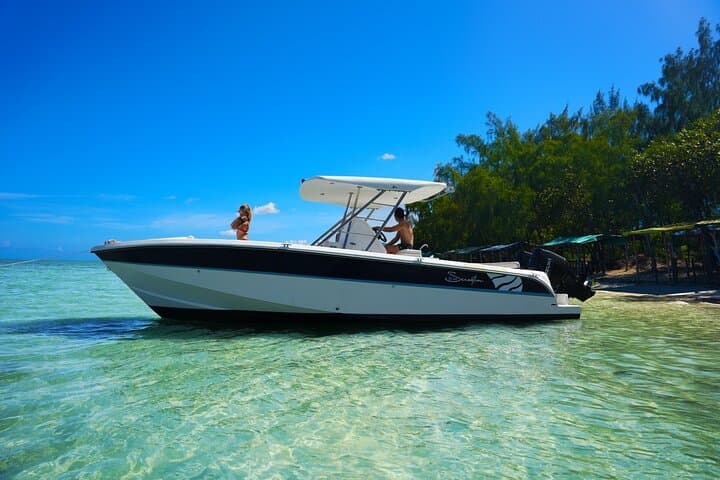 Private Dolphin Watching North Mauritius Speedboat Tour photo 2