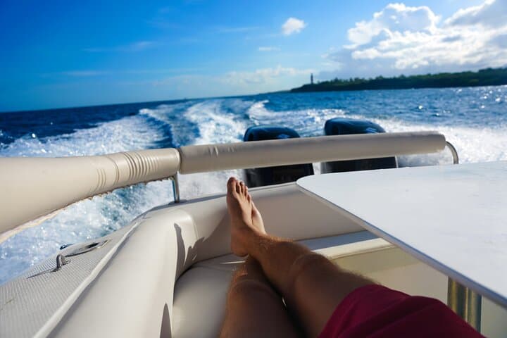 Private Dolphin Watching North Mauritius Speedboat Tour photo 4