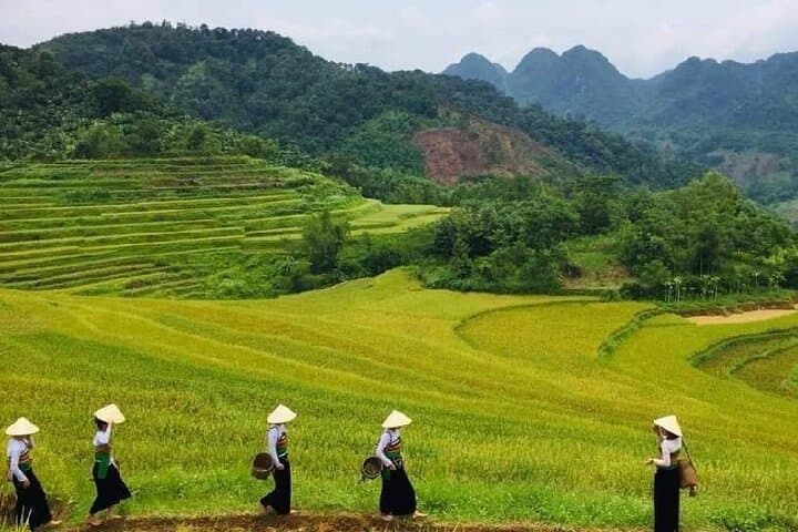 15-Day Vietnam Itinerary: Ultimate All-in-One Adventure 2025-2026 photo 2