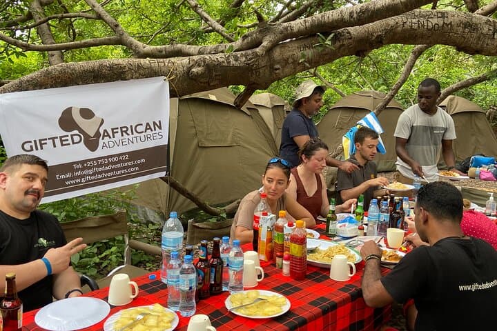 Materuni Waterfalls and Chemka Hot Spring Day Tour — Hike, Coffee & Swim Near Kilimanjaro