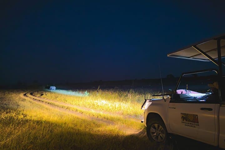 Night Game Drive in Zambezi National Park: After-Dark Safari Near Victoria Falls