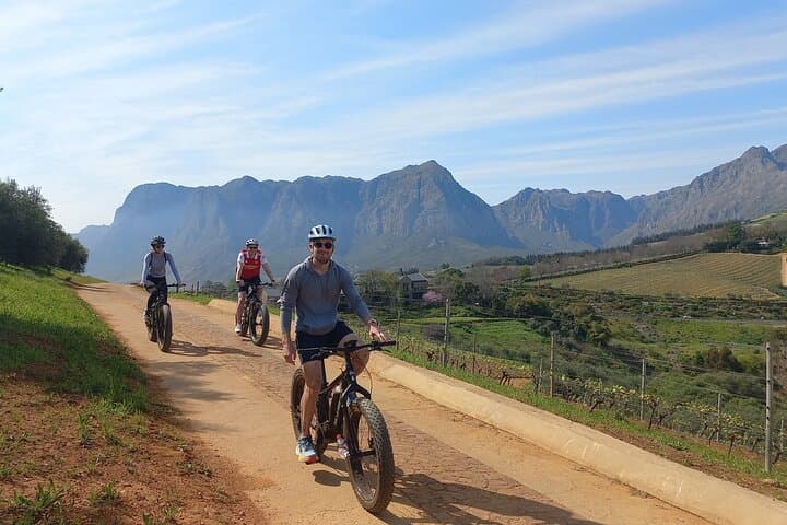 Stellenbosch E‑Bike Wine Tour in Banhoek Valley: Ride, Taste, Repeat photo 1
