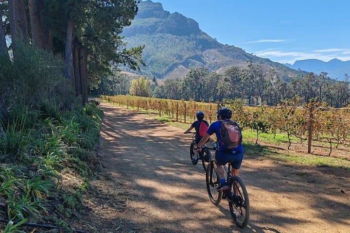 Stellenbosch E‑Bike Wine Tour in Banhoek Valley: Ride, Taste, Repeat photo 2