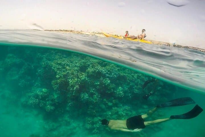 Marsa Mubarak Snorkeling and Intro Dive with Lunch — Mekkey's Room & Wreck Exploration photo 4