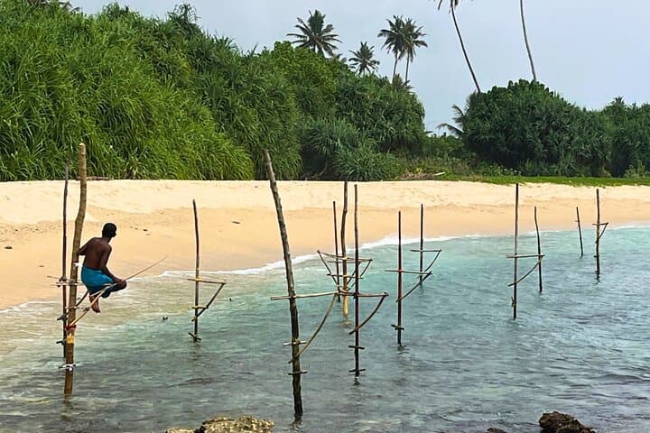 discover-sri-lanka-8-day-private-tour-driver-vehicle-cultural-nature-beaches photo 4