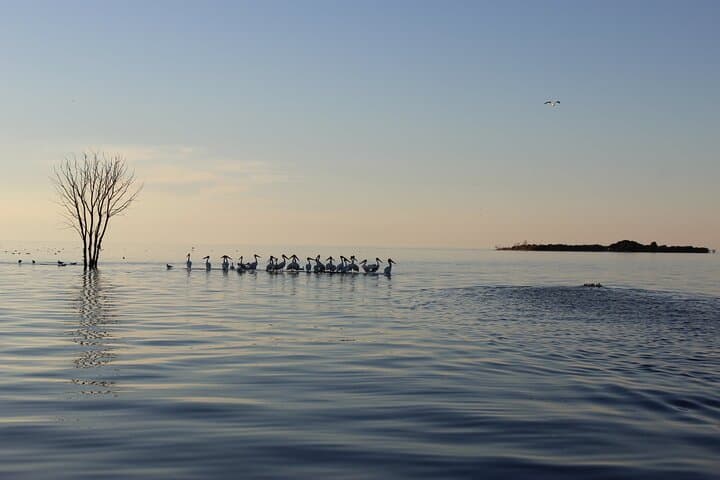 Strawberry Islands Scenic Boat Tour and Historic Cottage Row — Door County 90-Minute Cruise photo 6