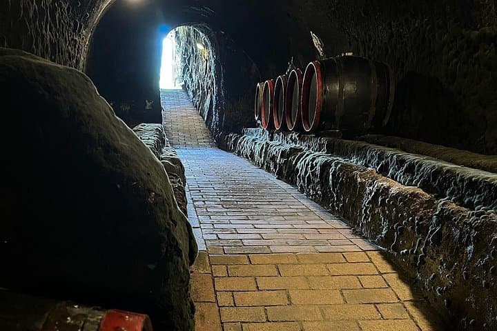 Tokaj UNESCO Wine Day Tour: Jeep Vineyard Drive & 100-Year Cellars photo 3