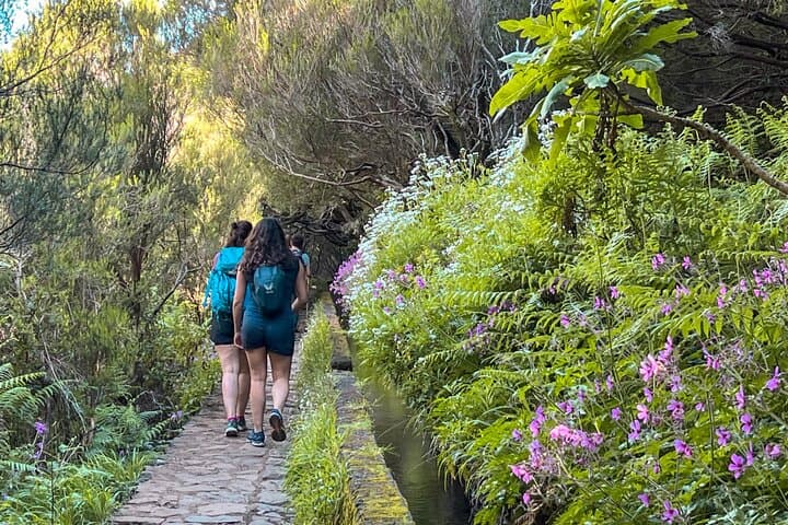 Rabaçal 25 Fontes Levada Walk — Classic Laurissilva Hike in Madeira photo 3